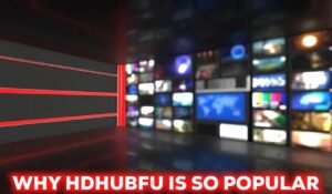 HDHubFU