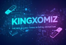 Kingxomiz