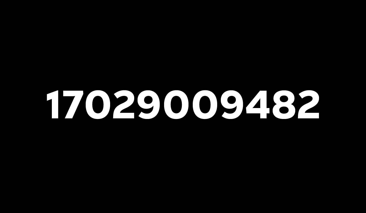 17029009482