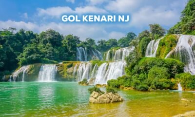 Gol Kenari NJ