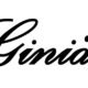 Giniä
