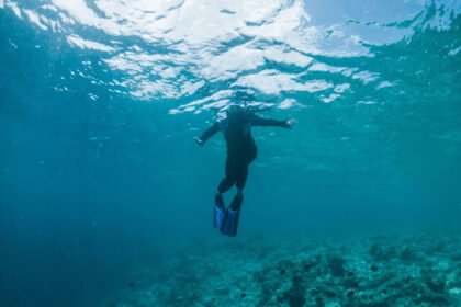Maldives Liveaboard Diving