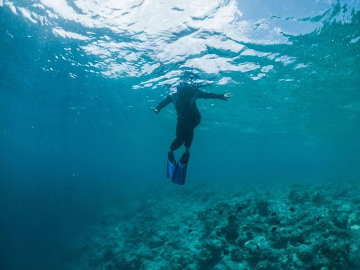 Maldives Liveaboard Diving