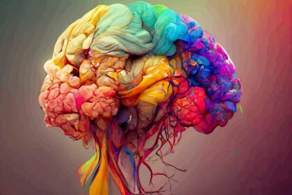 Psilocybin vs Ketamine