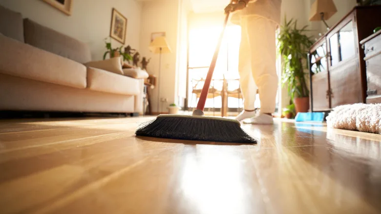 House Cleaning Services