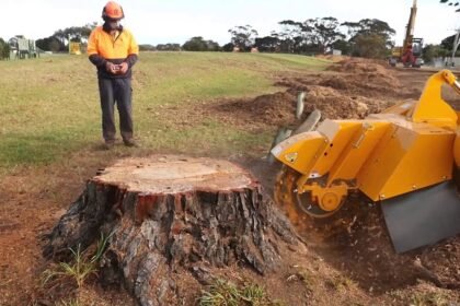 Stump Grinding