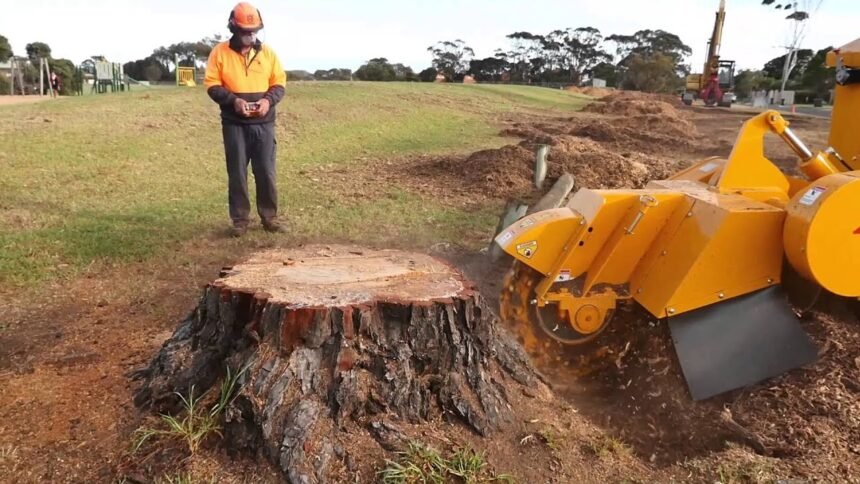 Stump Grinding
