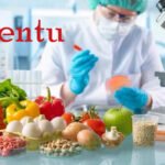 Palentu