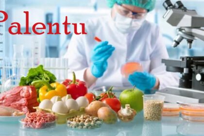 Palentu