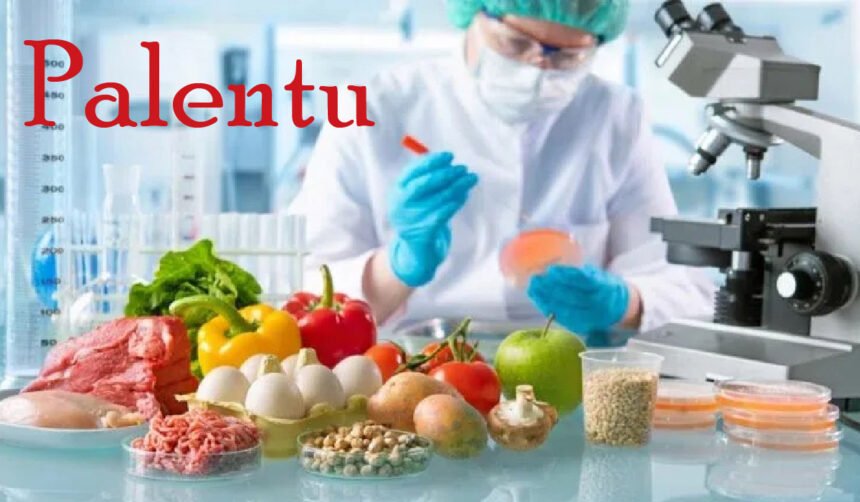 Palentu