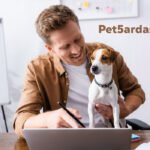 Pet5ardas com