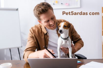 Pet5ardas com