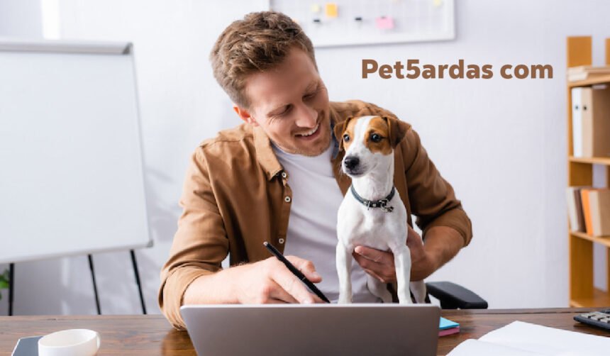 Pet5ardas com