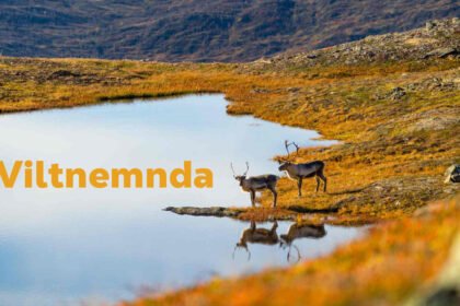 Viltnemnda