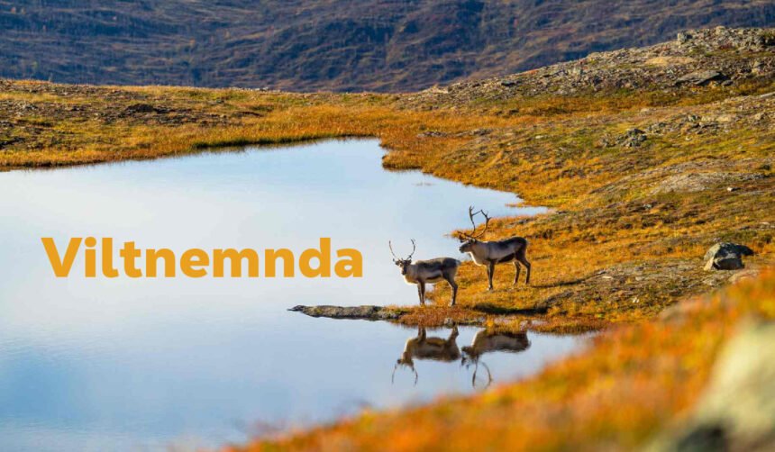 Viltnemnda