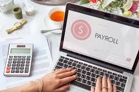 Affordable Payroll Provider Options for Growing Companies