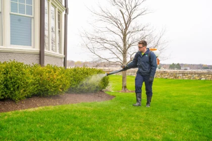 More Than a Lawn