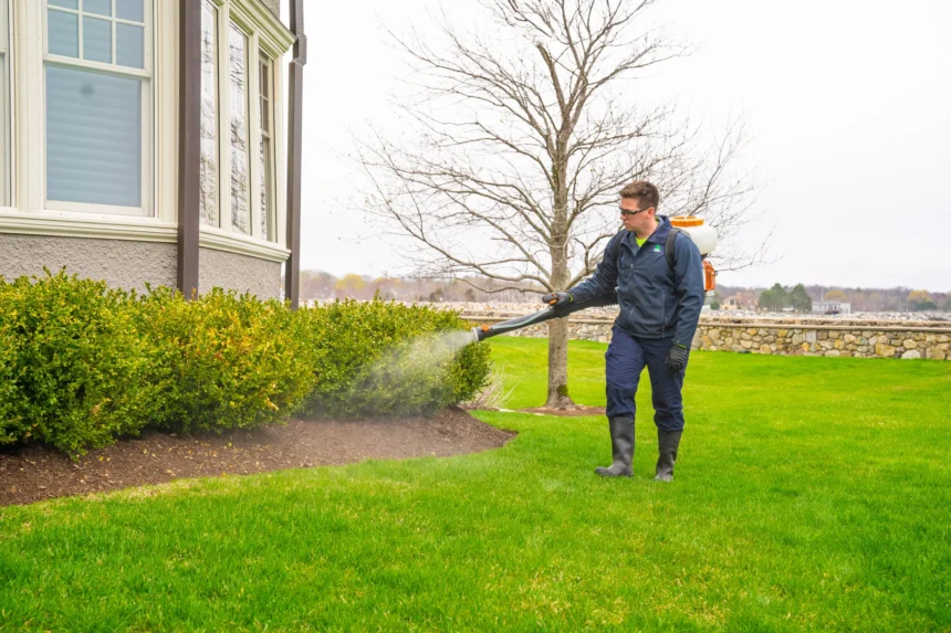 More Than a Lawn