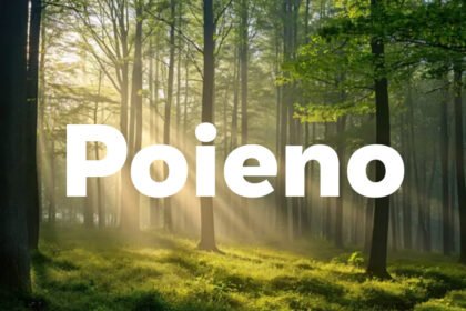 Poieno