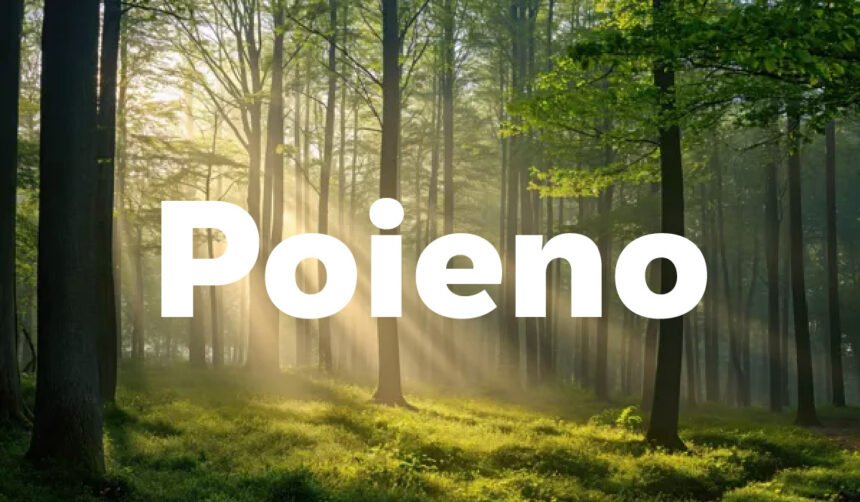 Poieno