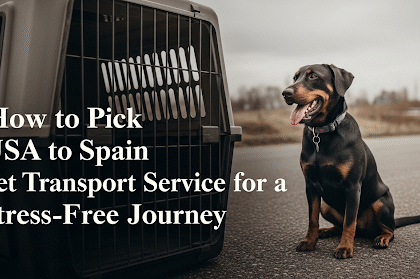 Best USA to Spain Pet Transport Service