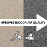 How Clean Carpets Can Improve Indoor Air Quality