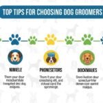 Top Tips for Choosing Dog Groomers